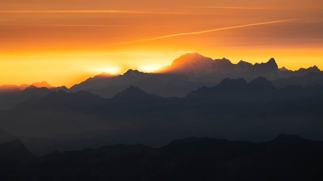 https://img2.utuku.imgcdc.com/473x0/ent/20250905/3f883577-2c1e-4b13-addf-3bcb73ed8d4a.jpg